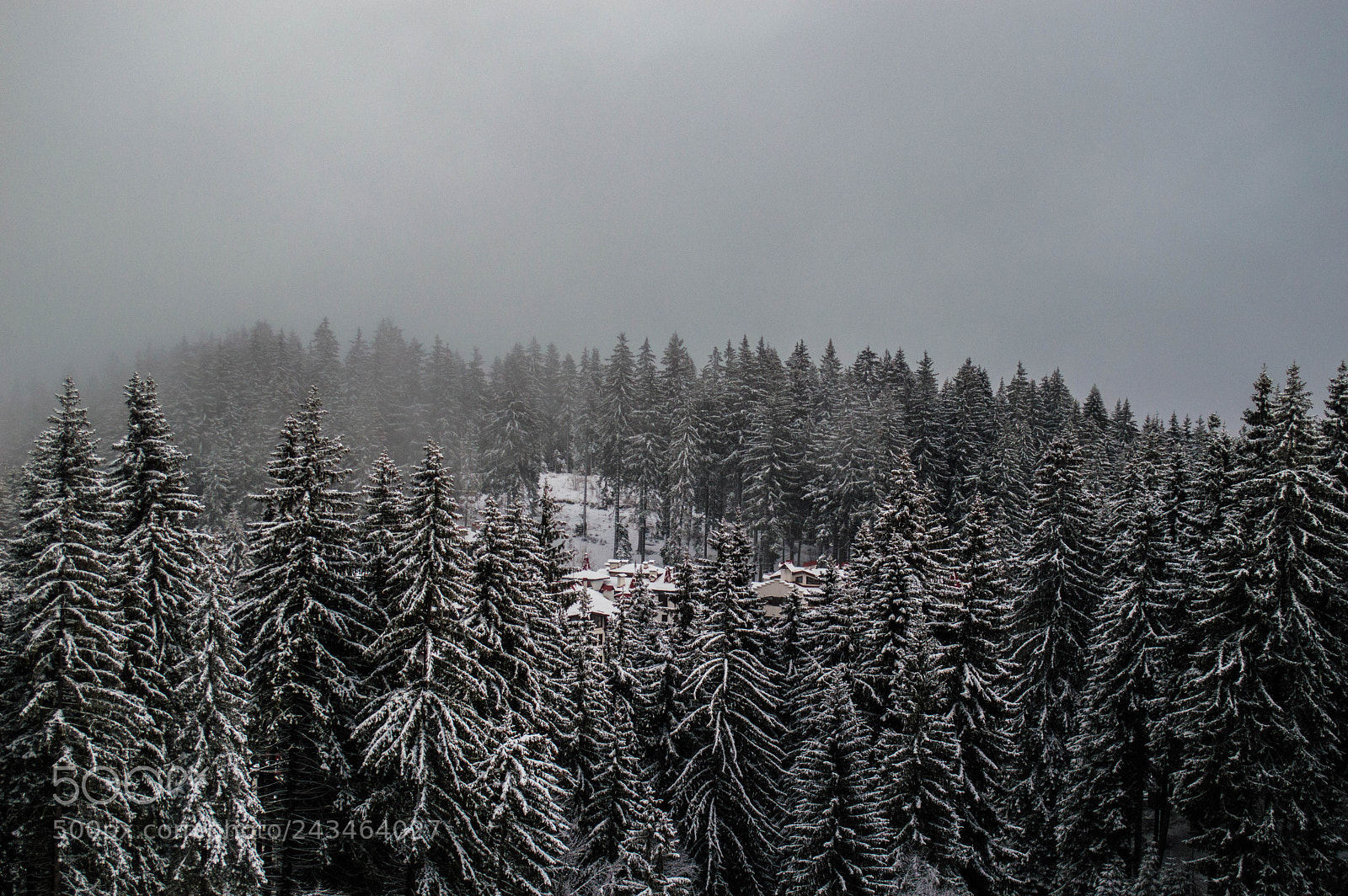 Nikon D3200 sample photo. Winter is here photography