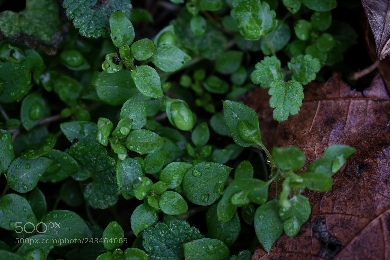 Nikon D3400 sample photo. 39652516961.jpg photography