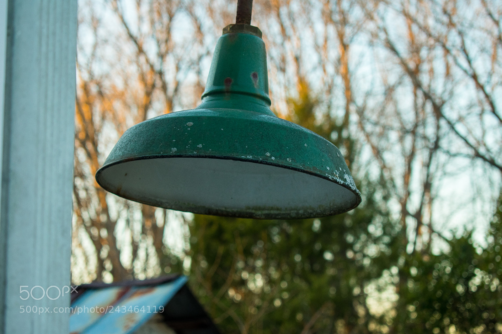 Nikon D3400 sample photo. 39518763422.jpg photography