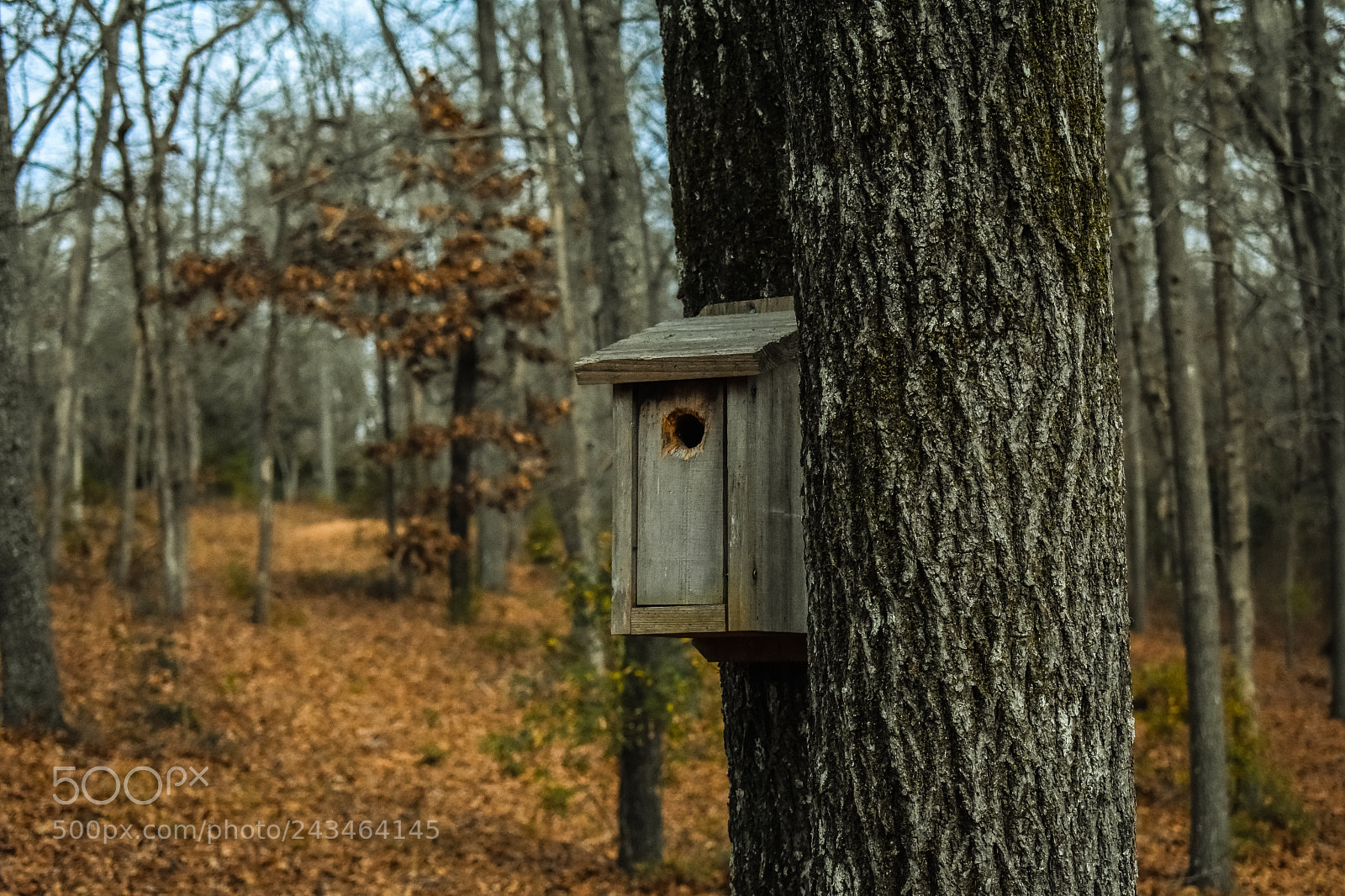 Nikon D3400 sample photo. 25552364688.jpg photography