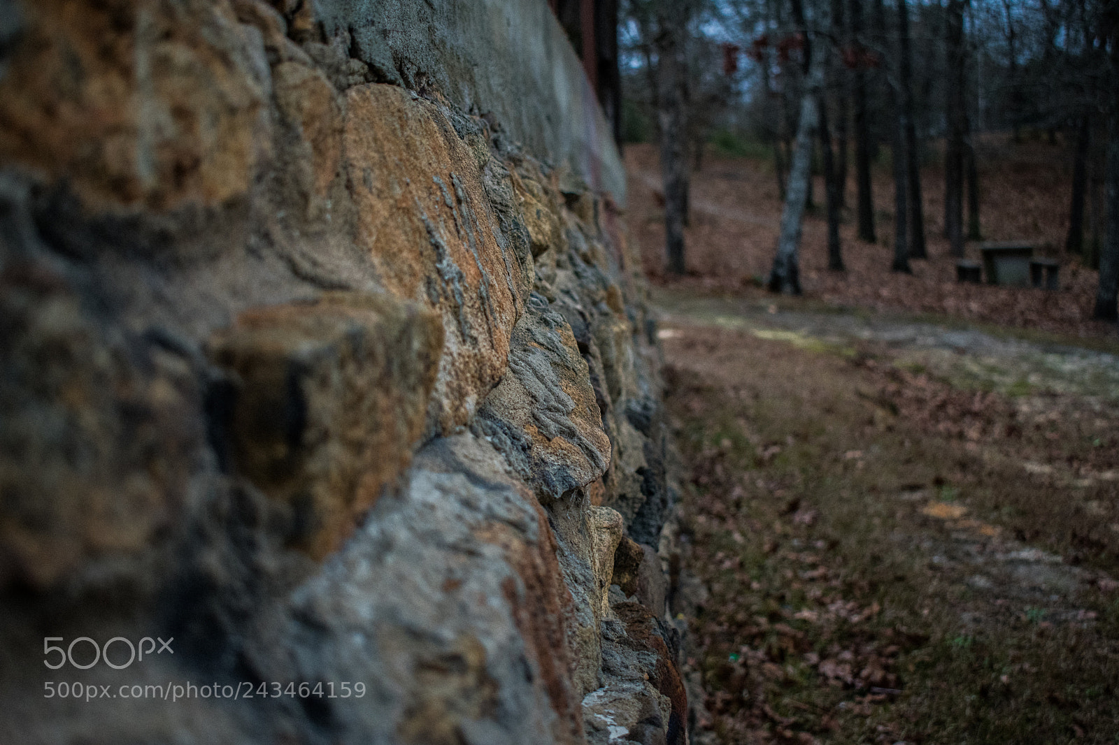 Nikon D3400 sample photo. 24556453087.jpg photography