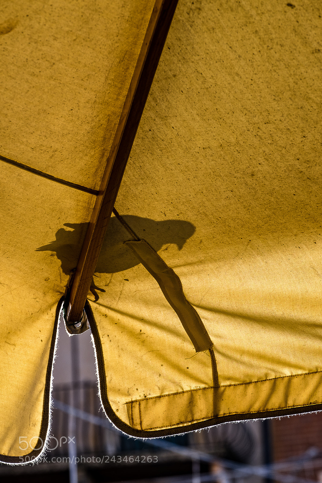 Fujifilm X-T10 sample photo. .. l'ombra ... photography