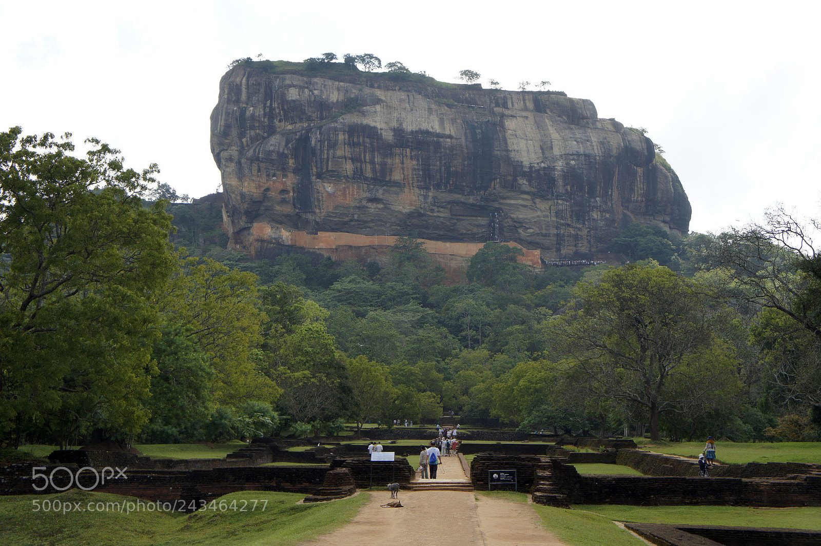 Sony Alpha NEX-5 sample photo. Sri lanka 2014, shoot photography