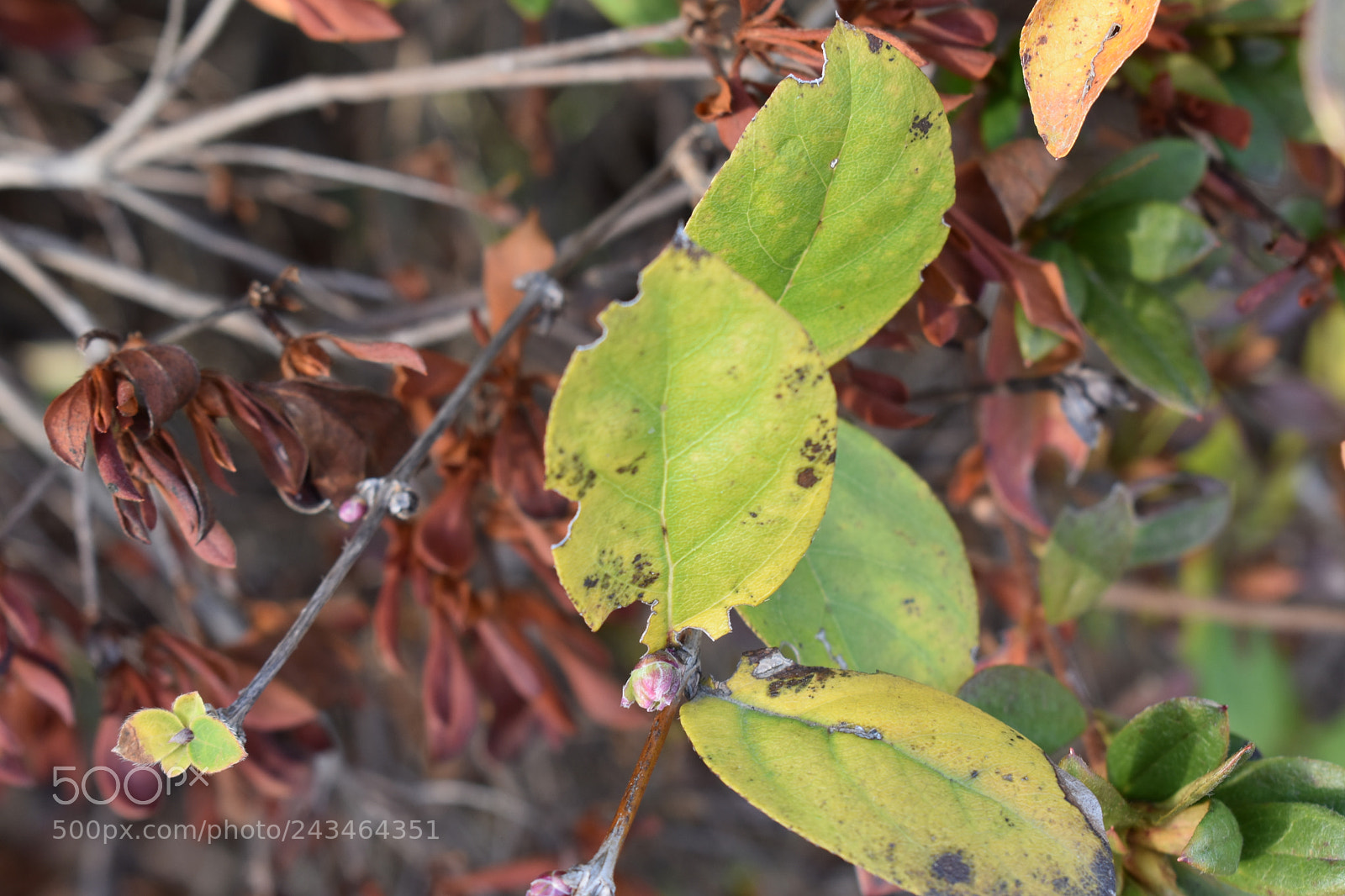 Nikon D3400 sample photo. Nailed it photography