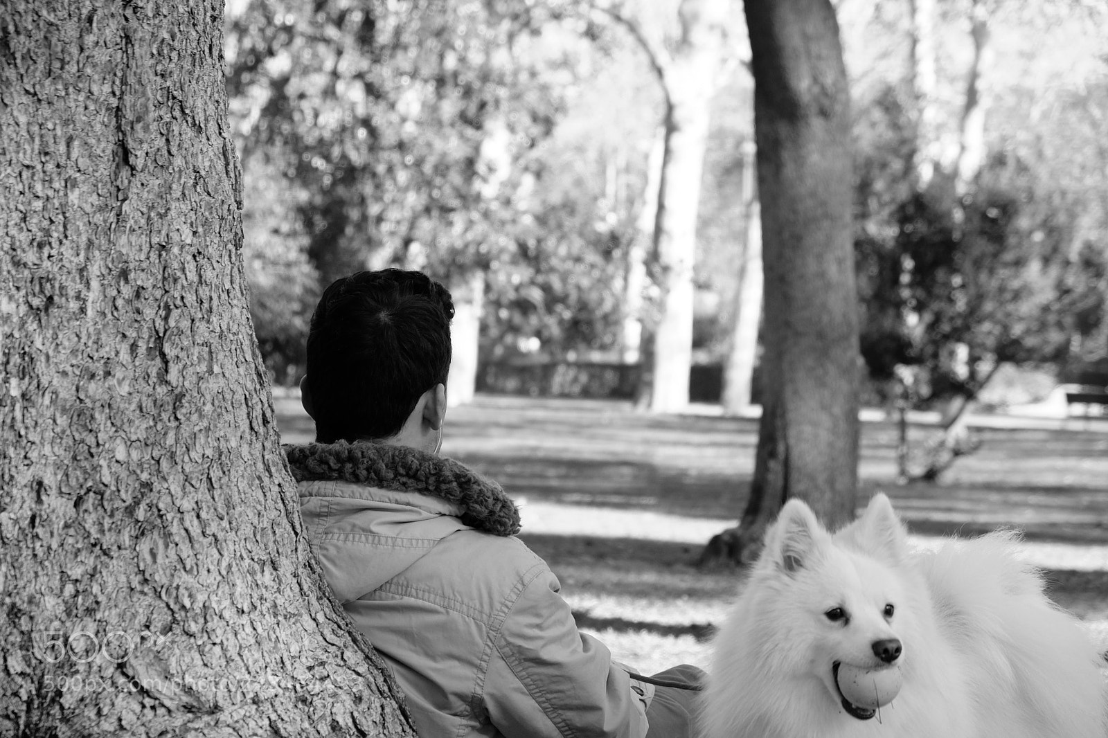 Fujifilm X-T20 sample photo. Untitled photography