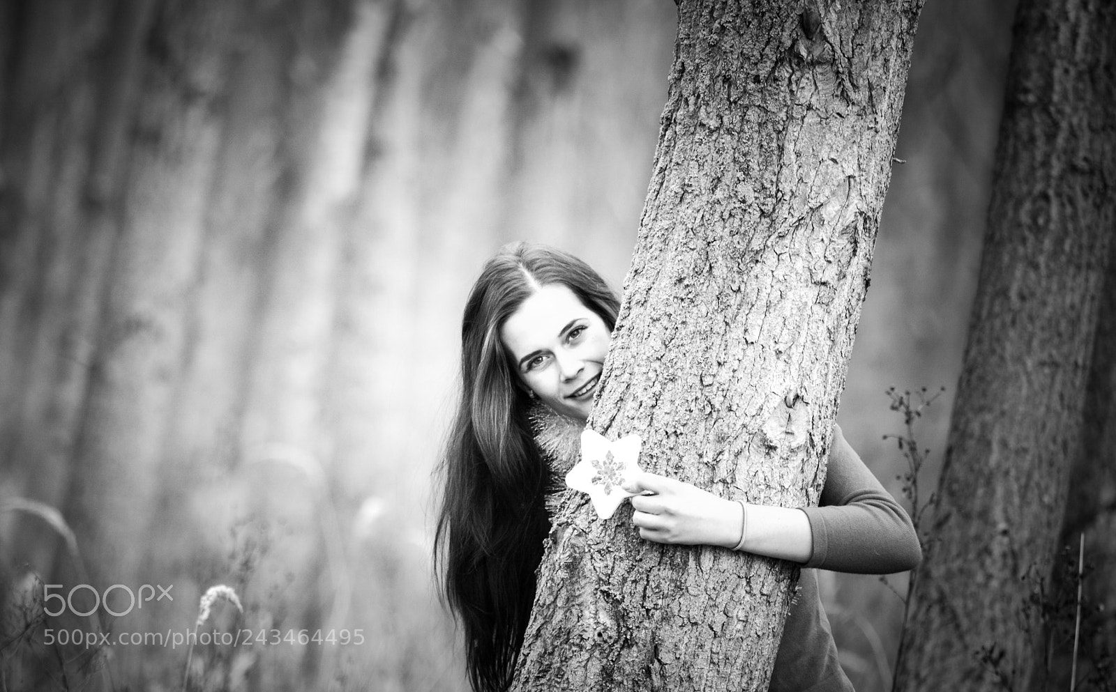 Nikon D7100 sample photo. Untitled photography