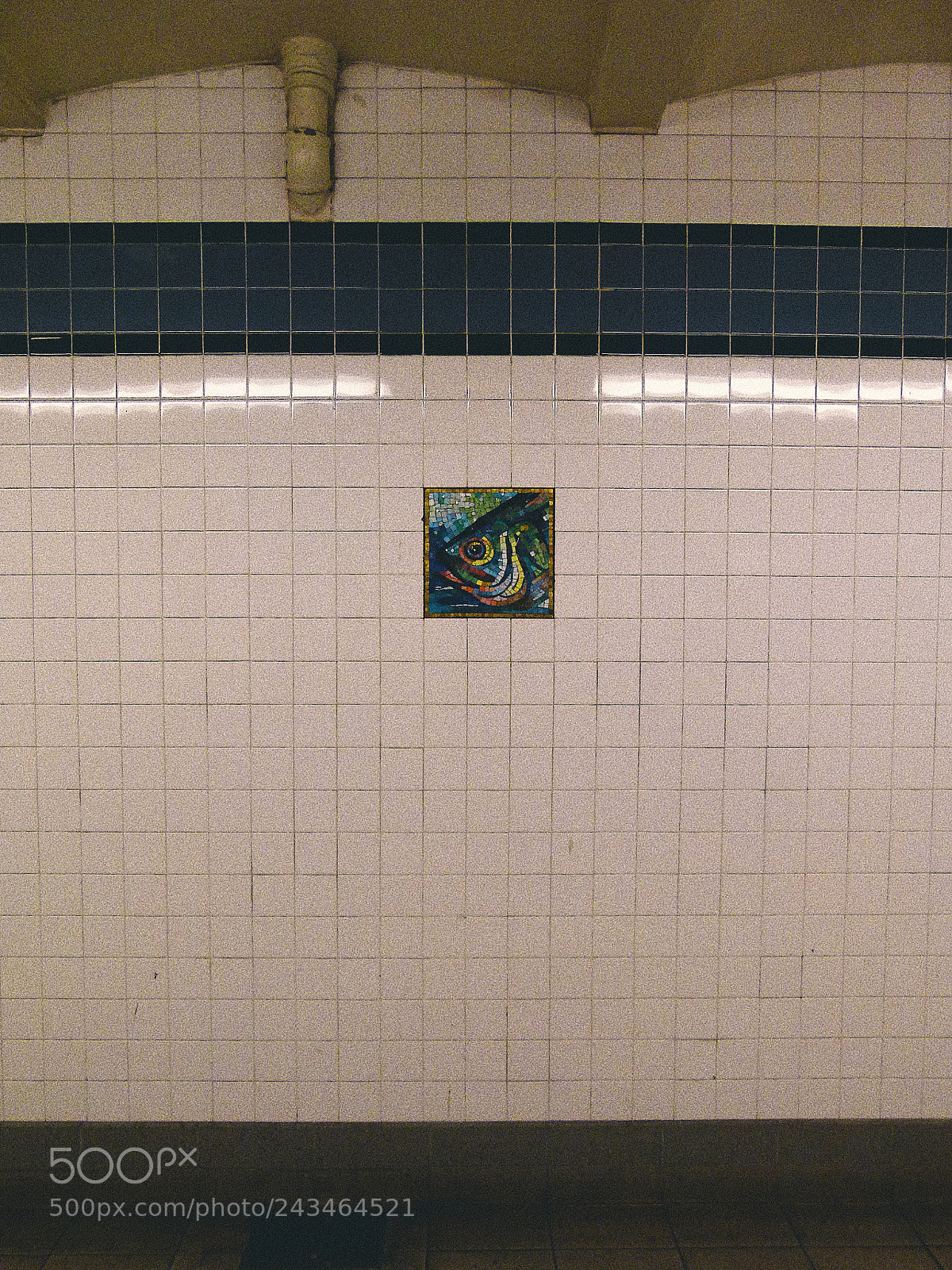 Panasonic Lumix DMC-FZ100 sample photo. Mosaic photography