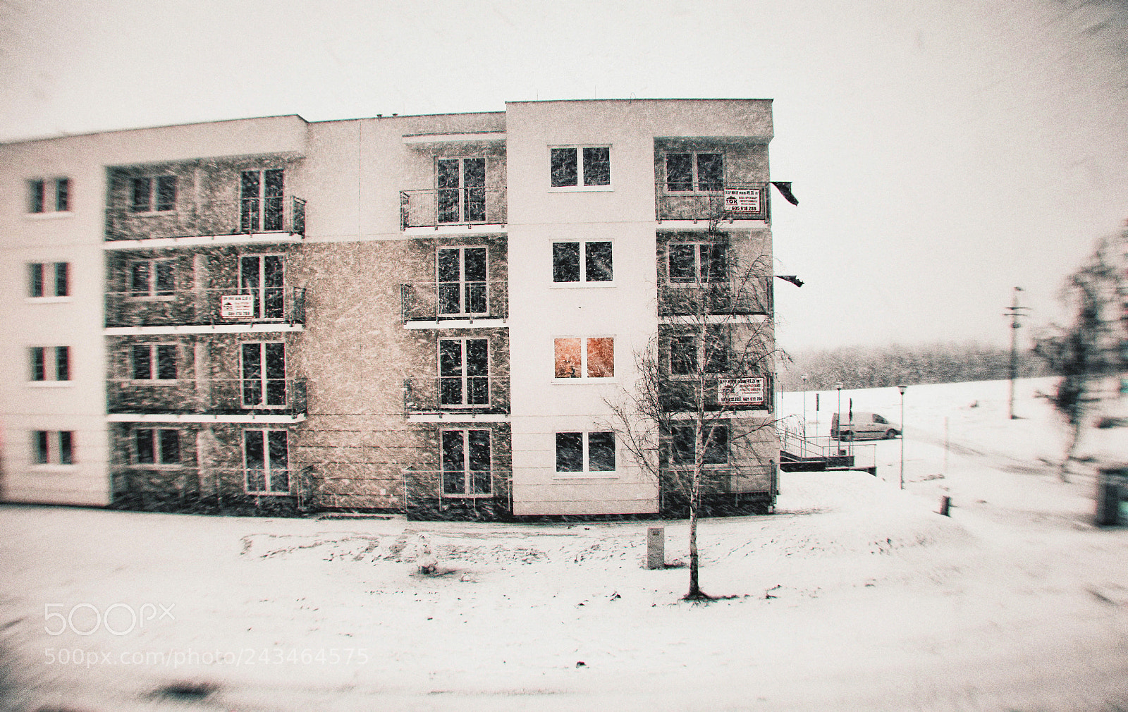 Canon EOS 50D sample photo. Blizzard in my city photography