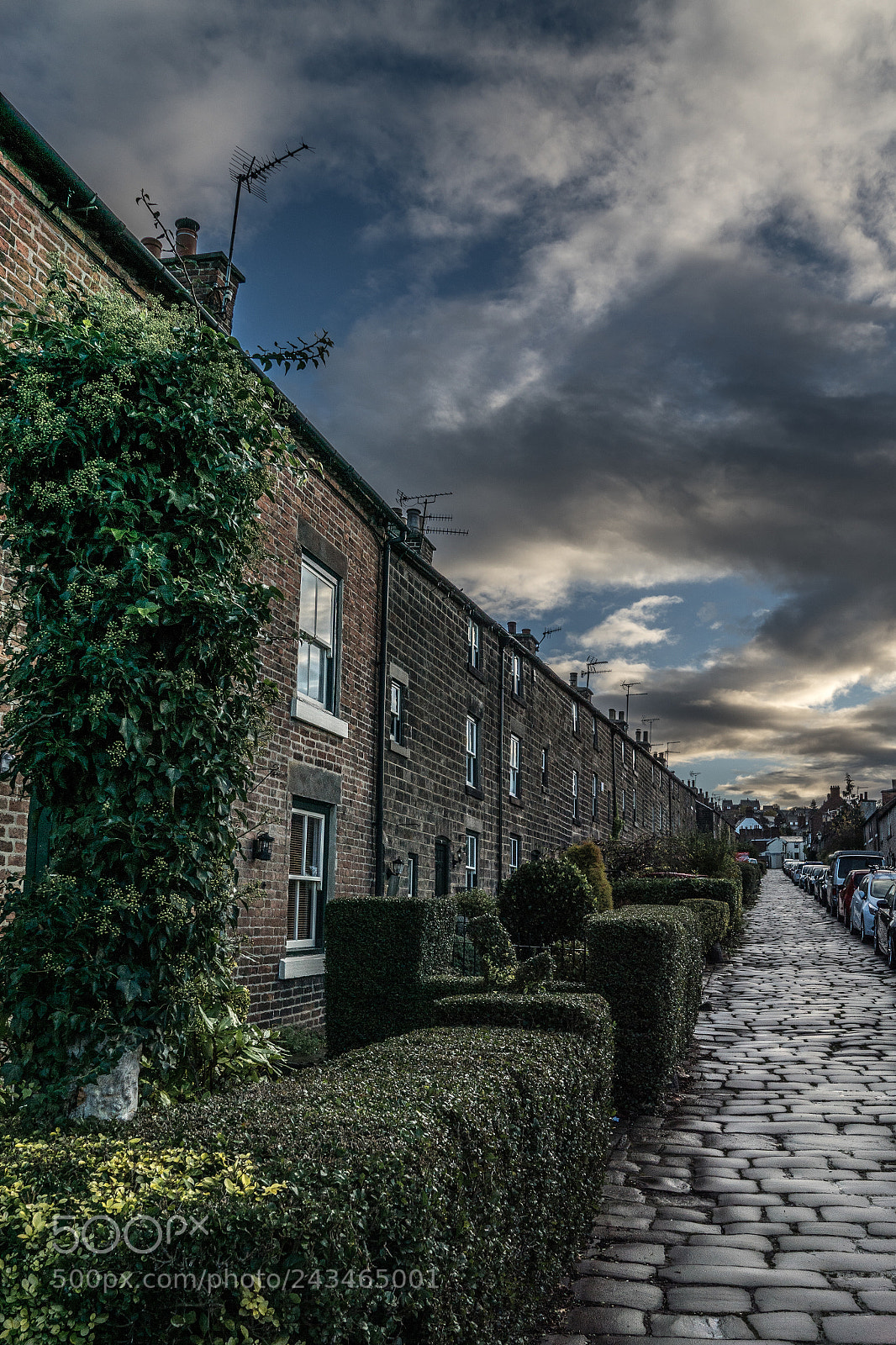 Sony ILCA-77M2 sample photo. Long row photography