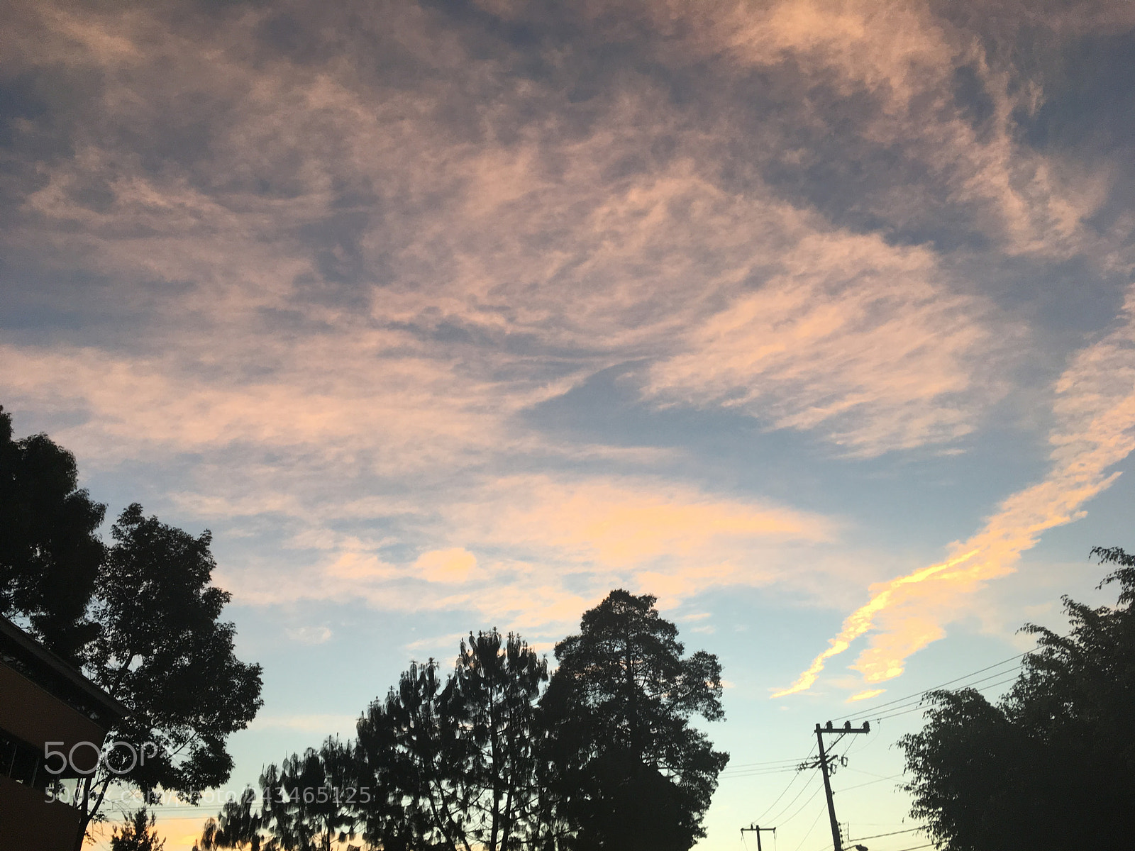 Apple iPhone SE sample photo. Buenos días photography