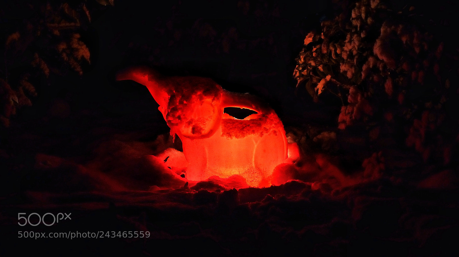 Panasonic Lumix DMC-FZ200 sample photo. Glow elefant, glow! photography