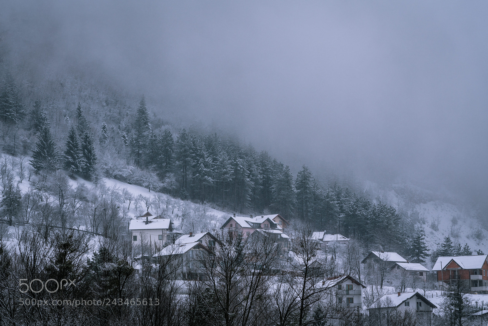 Sony a7R III sample photo. Winter came just on photography