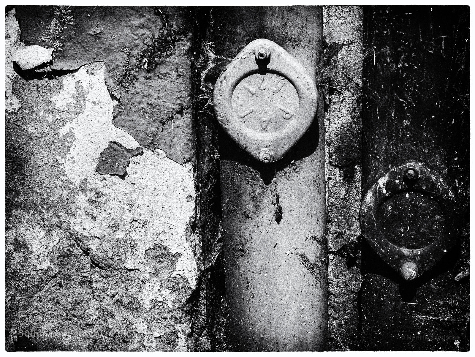 Panasonic Lumix DMC-GM1 sample photo. Weathered photography