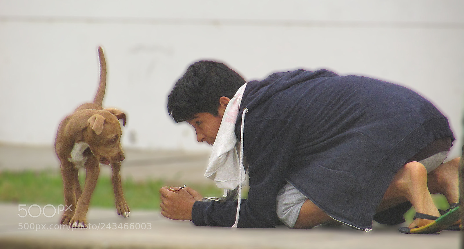 Canon PowerShot SX400 IS sample photo. Best friends photography