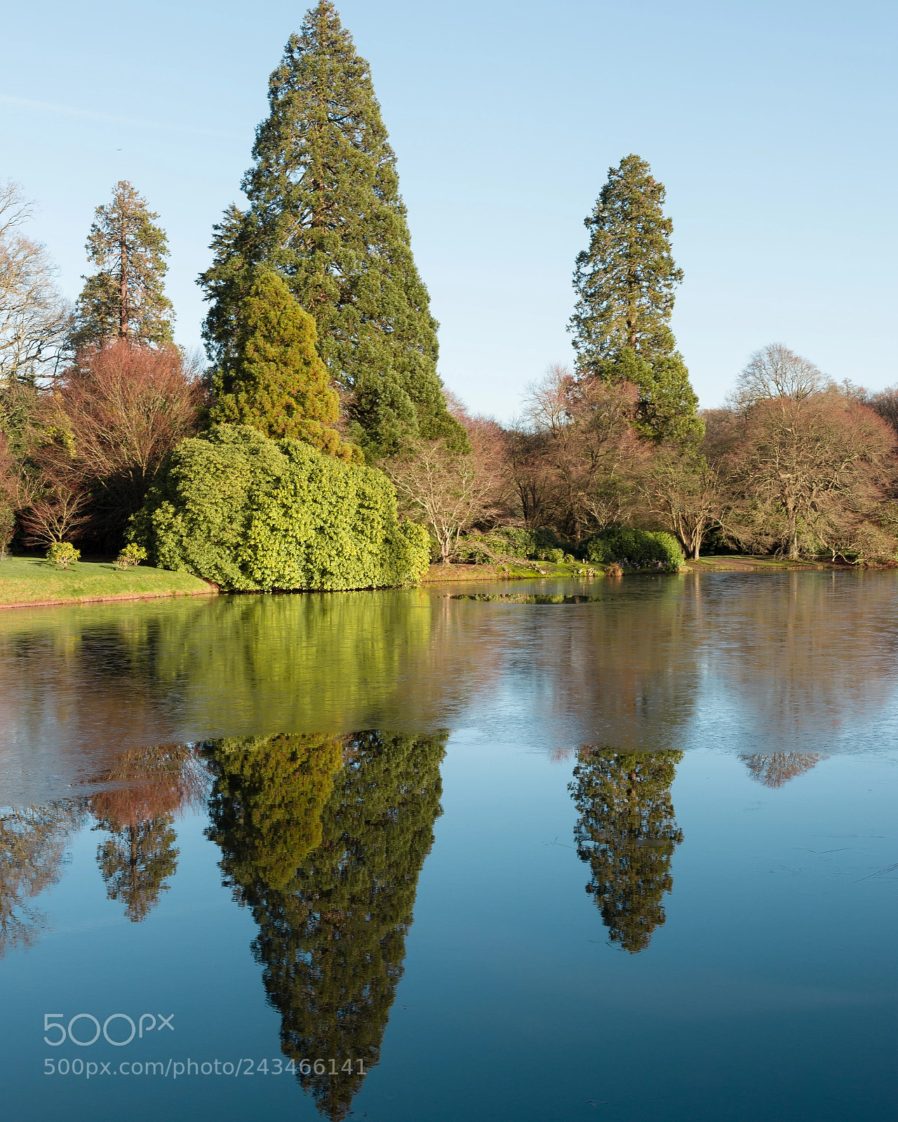 Canon EOS 6D Mark II sample photo. Frozen reflections photography