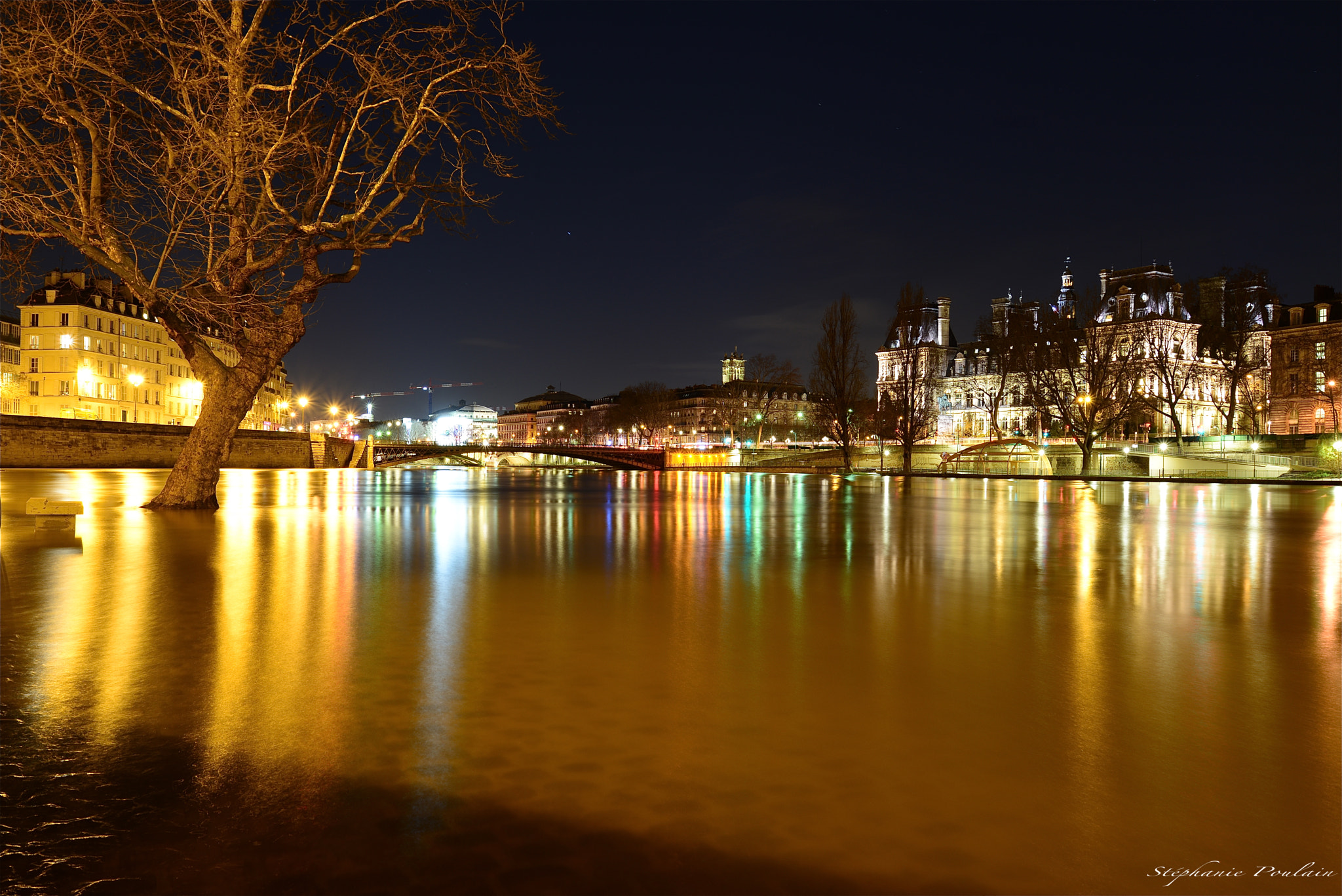 Nikon D610 sample photo. L'arbre n'aura pas soif photography