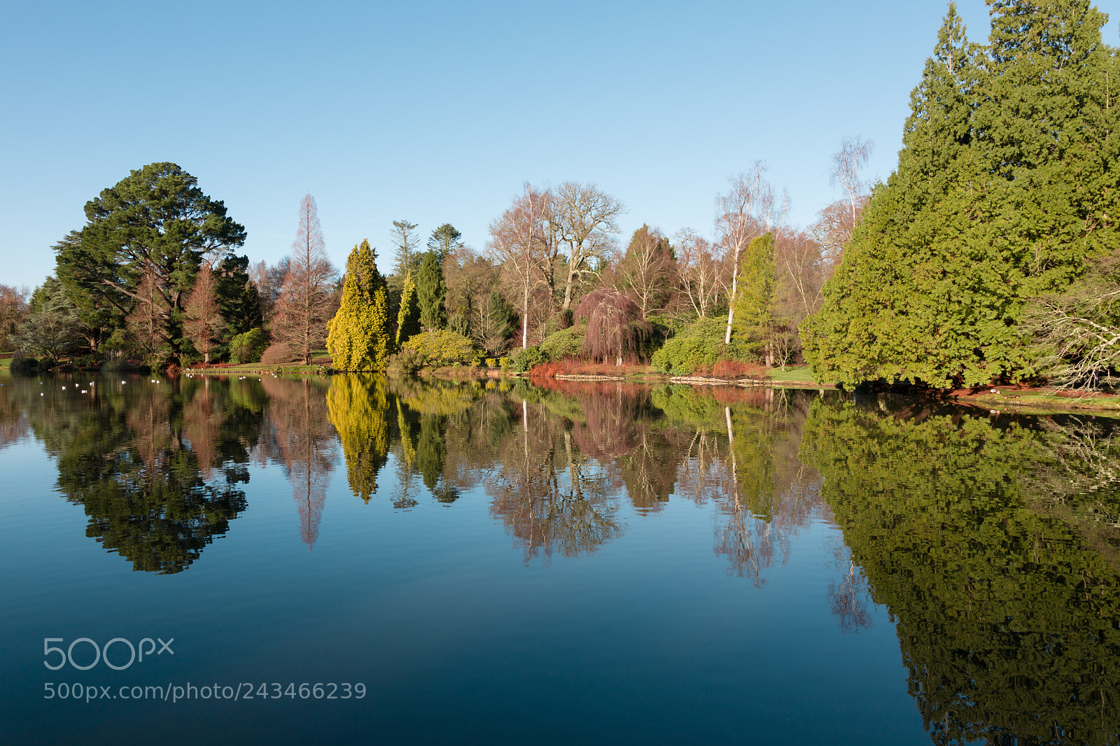 Canon EOS 6D Mark II sample photo. Frozen reflections photography