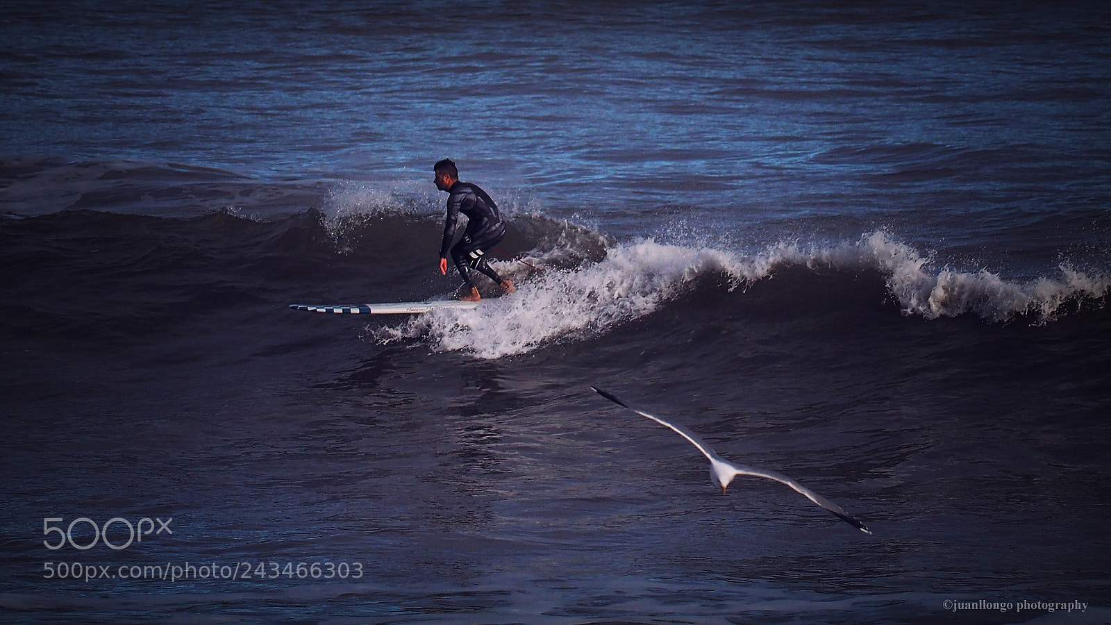 Olympus OM-D E-M10 II sample photo. Surf ii photography