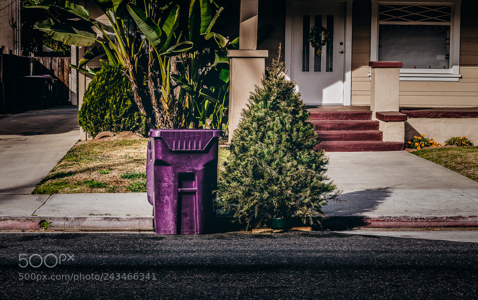 Canon EOS 750D (EOS Rebel T6i / EOS Kiss X8i) sample photo. True spirit of xmas photography