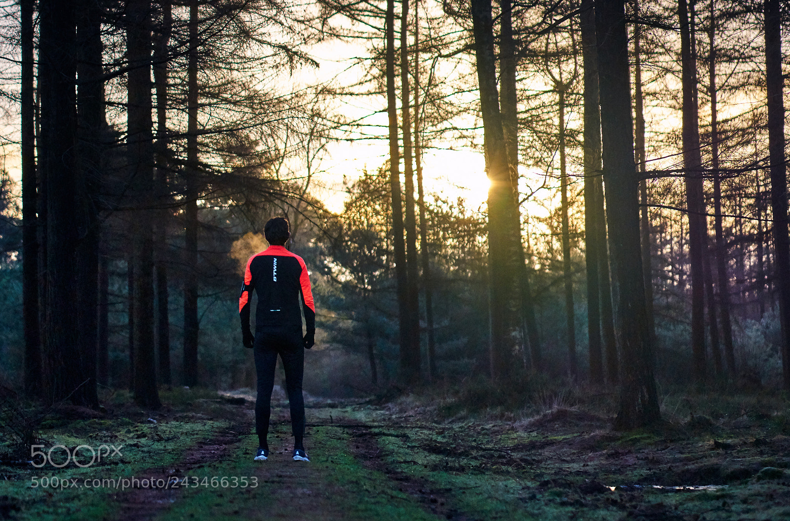 Sony a7R II sample photo. Ready to run photography