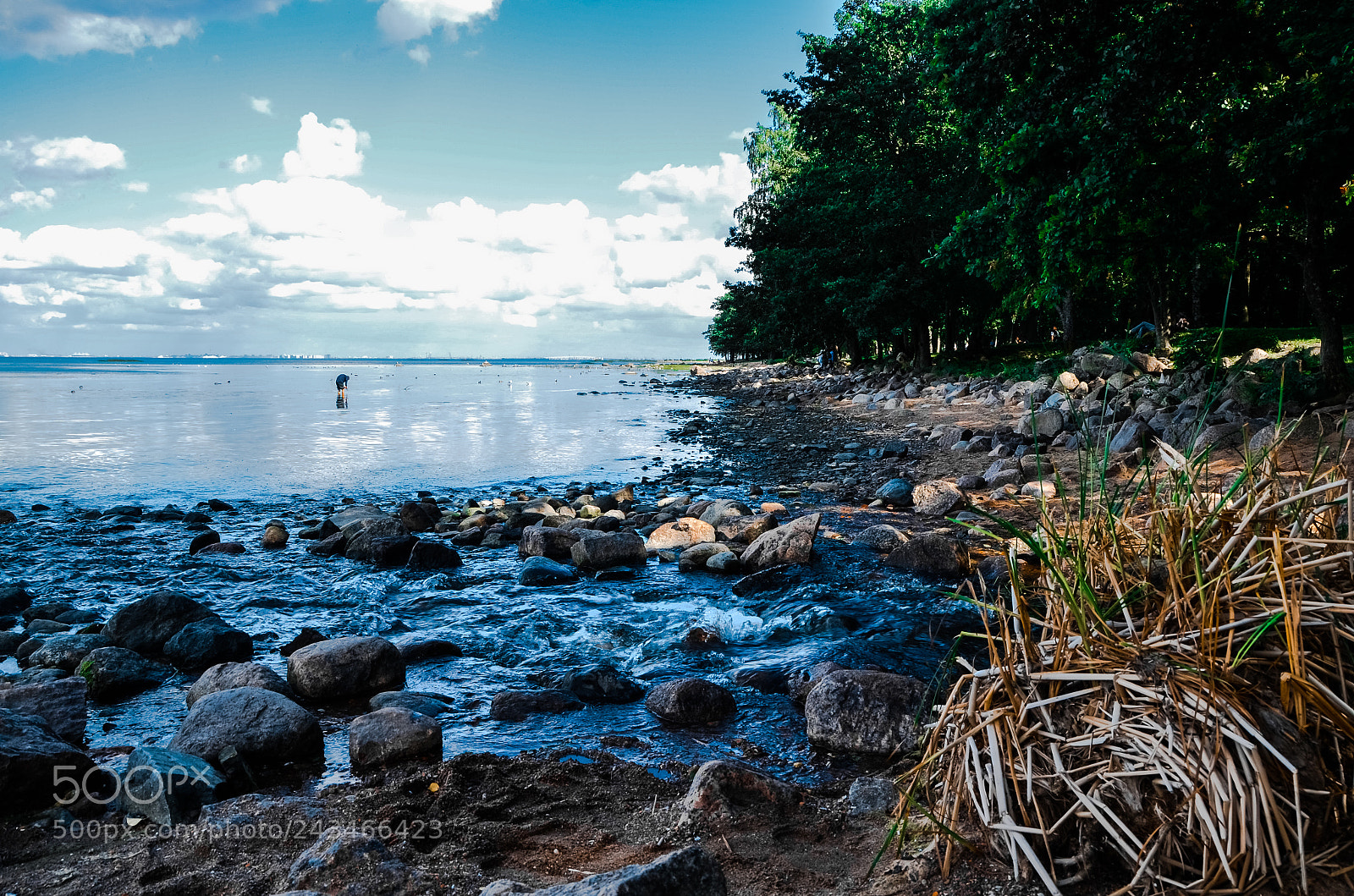 Nikon D5100 sample photo. Petergof photography