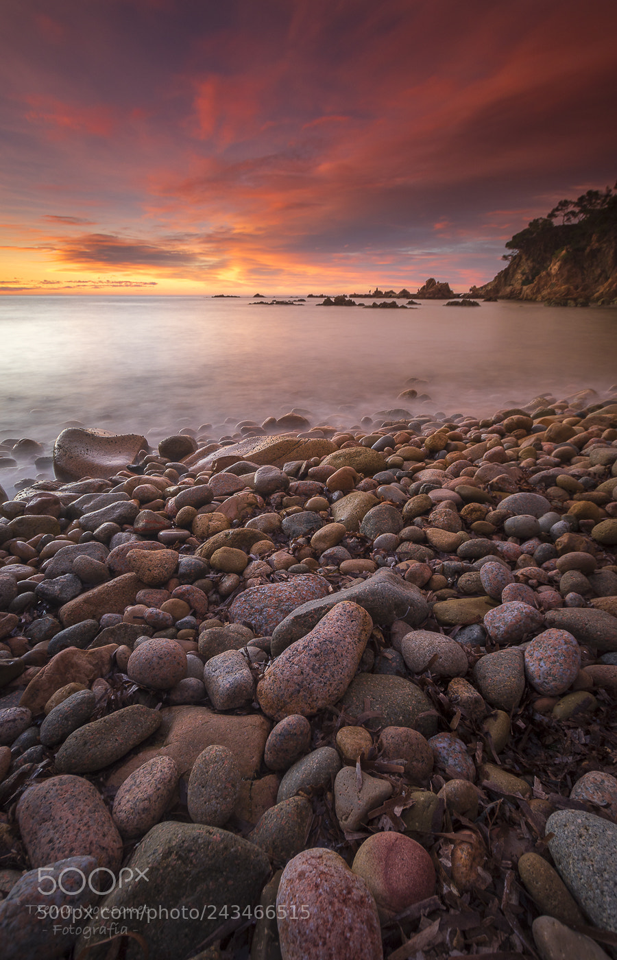 Canon EOS 7D Mark II sample photo. Colores de un nuevo photography