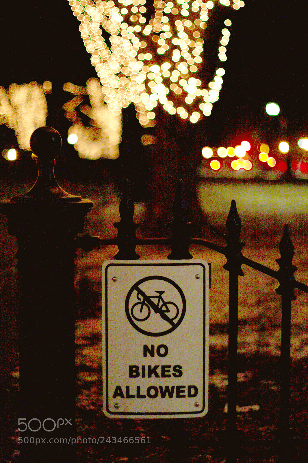 Canon EOS 40D sample photo. No bikes photography