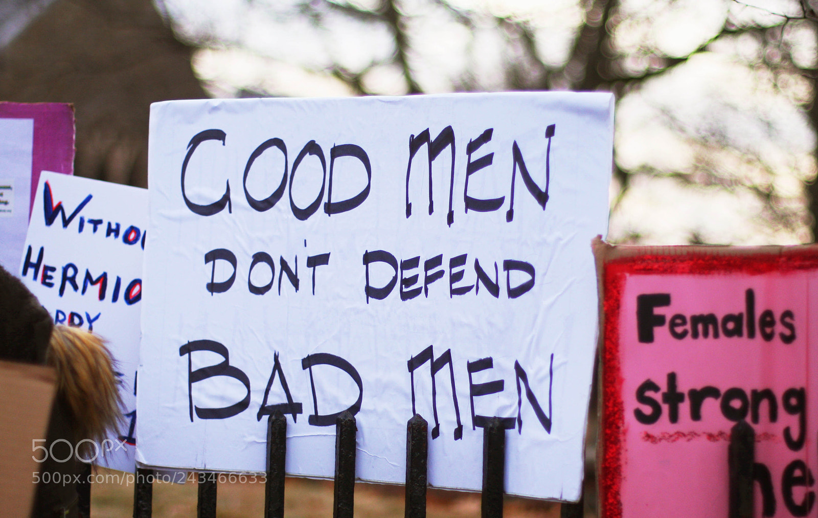 Canon EOS 40D sample photo. Good men don't defend photography