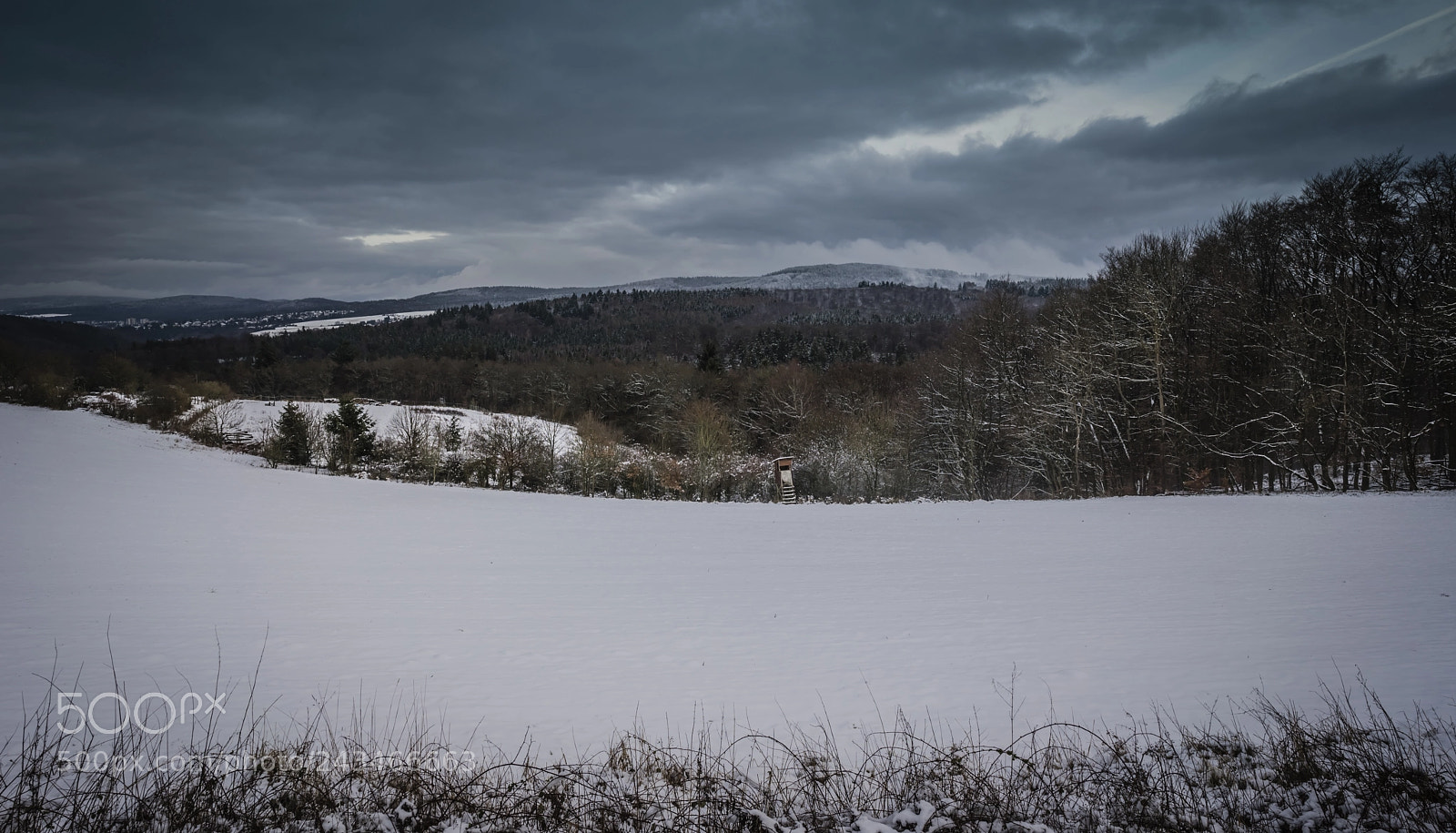 Sony a7R III sample photo. Winter photography