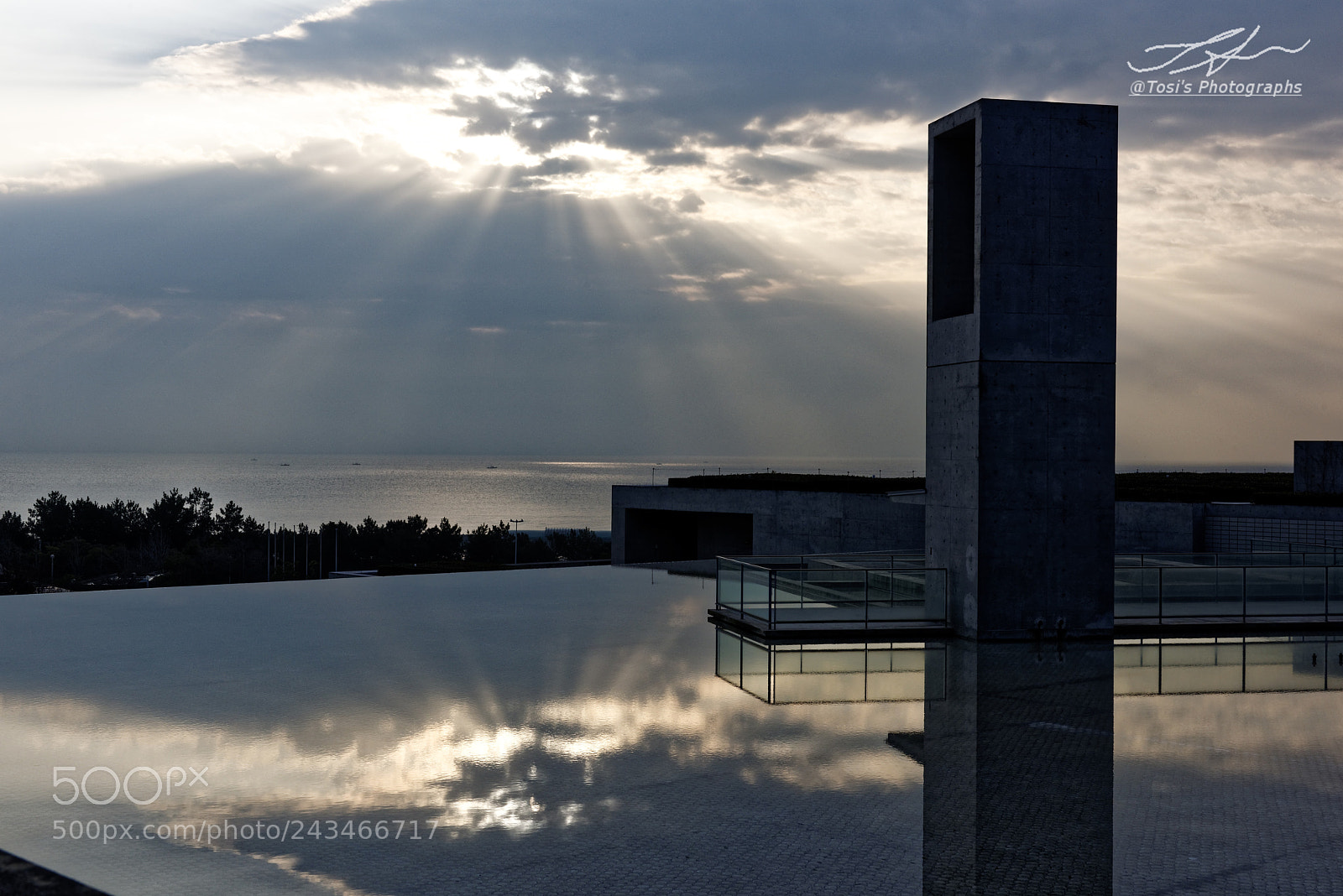 Nikon D810 sample photo. Contest of light photography