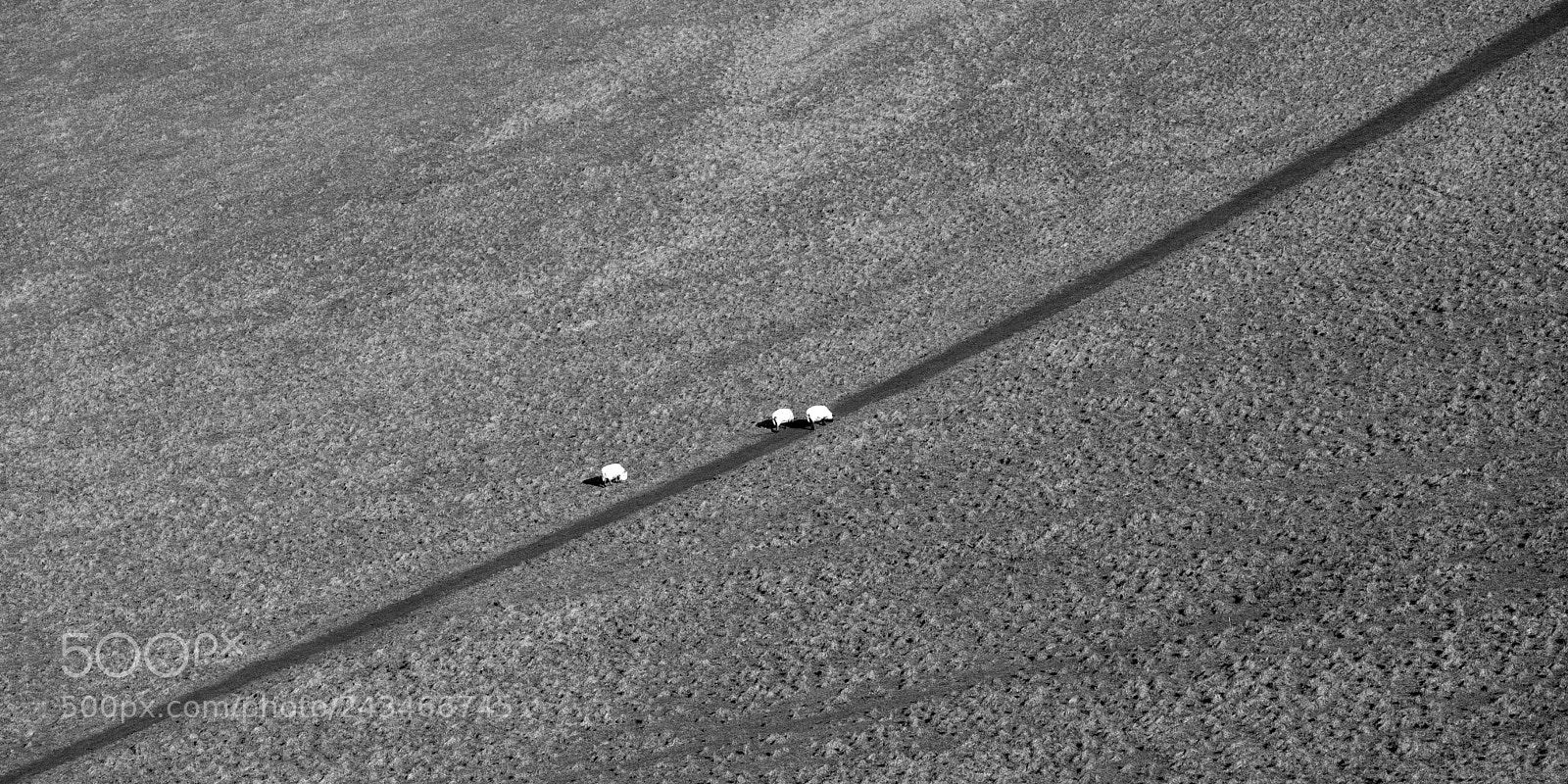 Canon EOS 6D Mark II sample photo. The path. photography