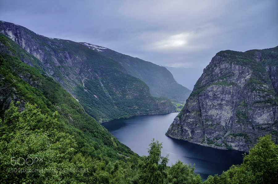 Nikon D5100 sample photo. Sognefjord photography