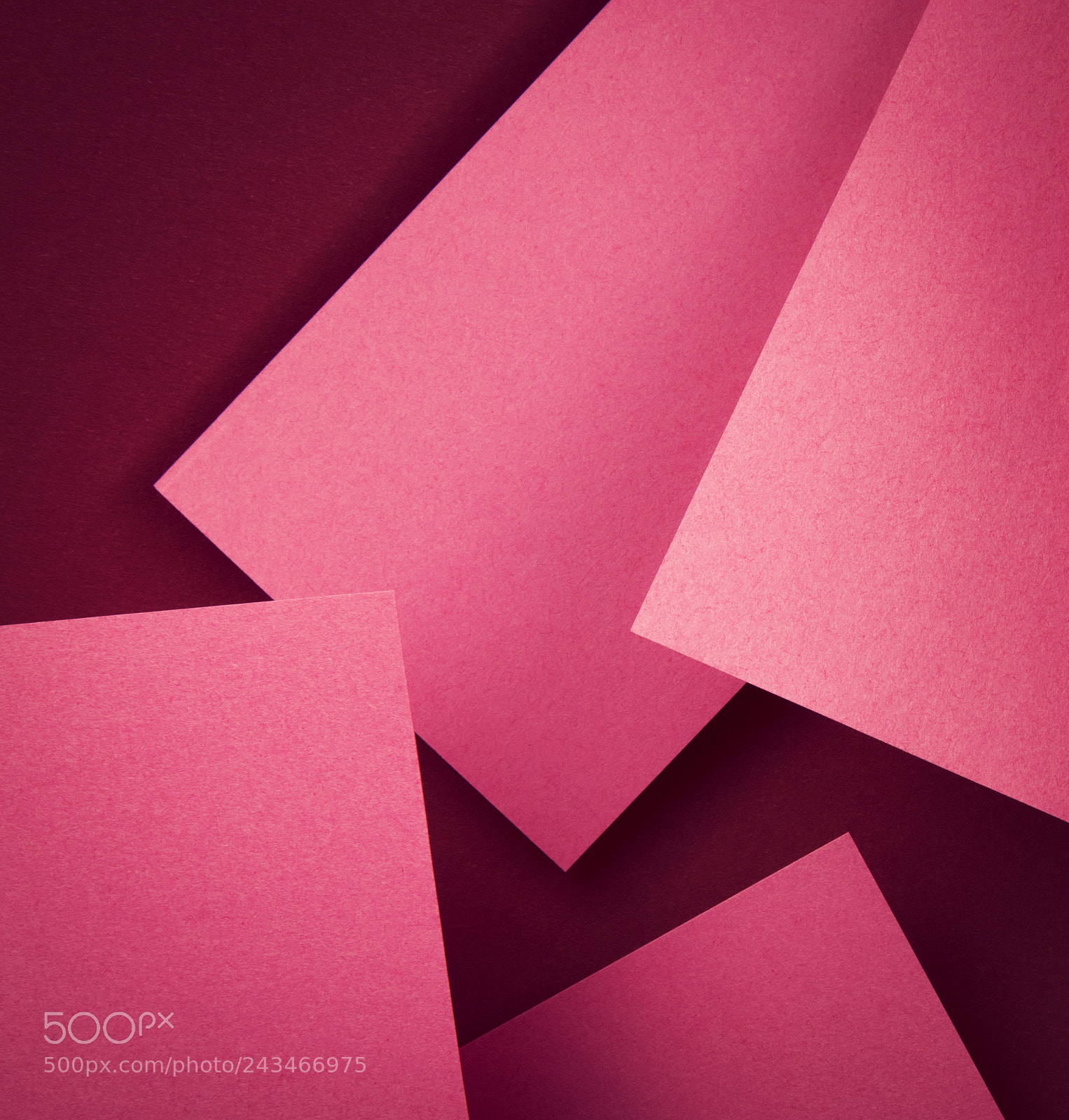 Nikon D5500 sample photo. Pink paper on burgundy photography