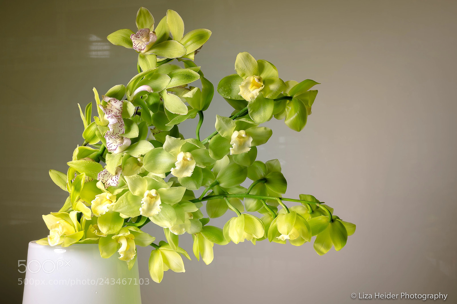 Nikon D850 sample photo. Green orchids by liza photography