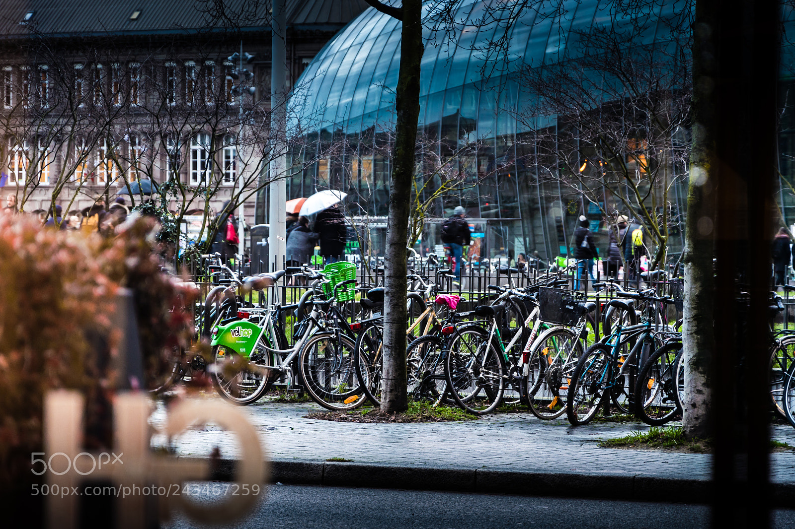 Nikon D7500 sample photo. All them bikes photography