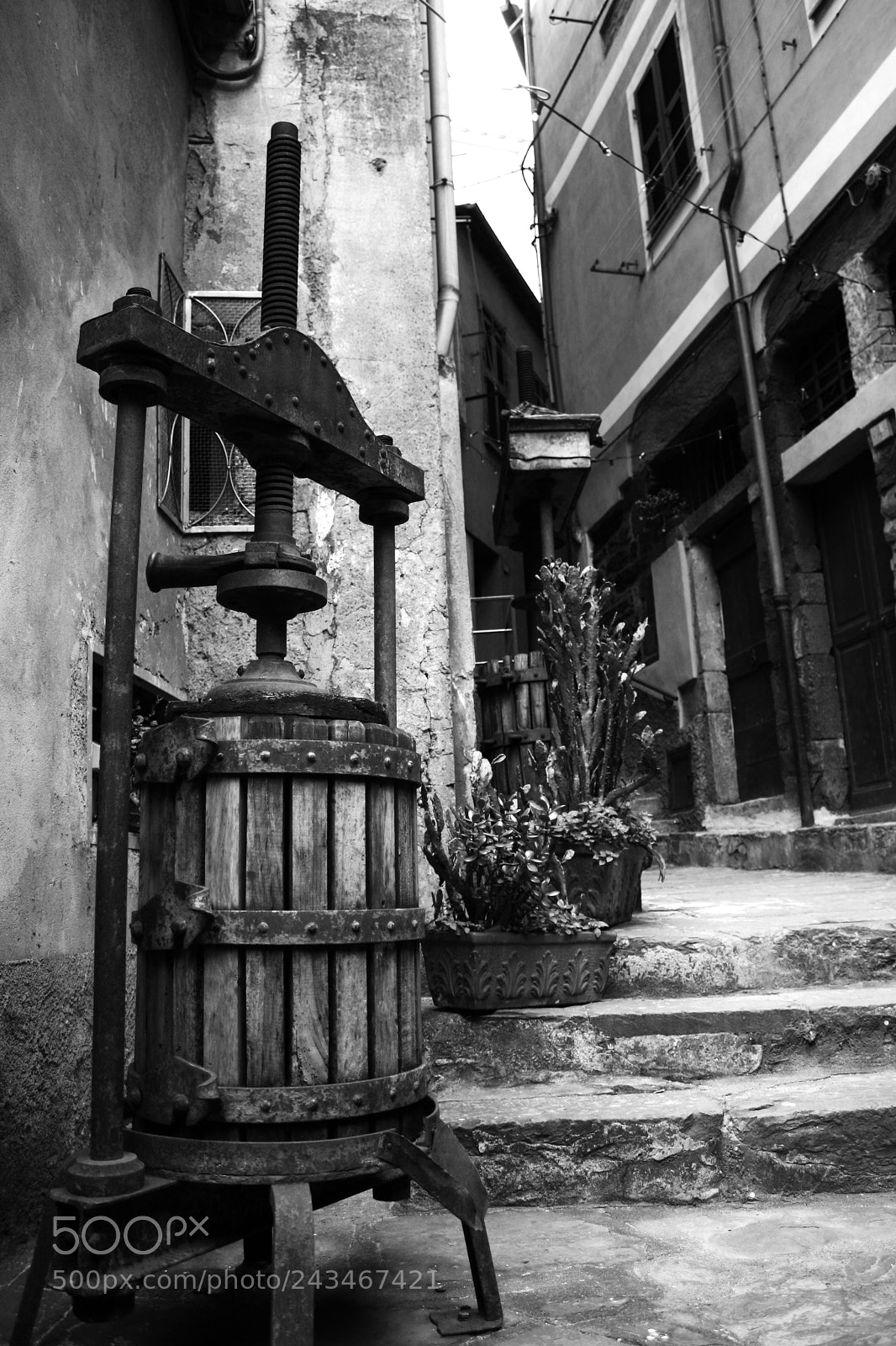 Canon EOS 400D (EOS Digital Rebel XTi / EOS Kiss Digital X) sample photo. Vernazza alley photography