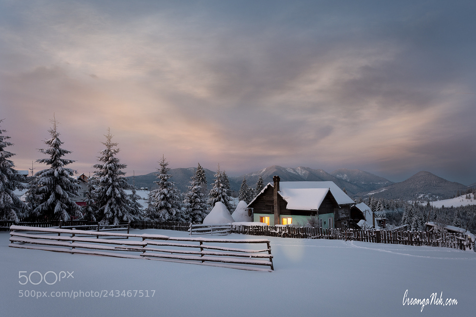 Nikon D500 sample photo. Winter photography