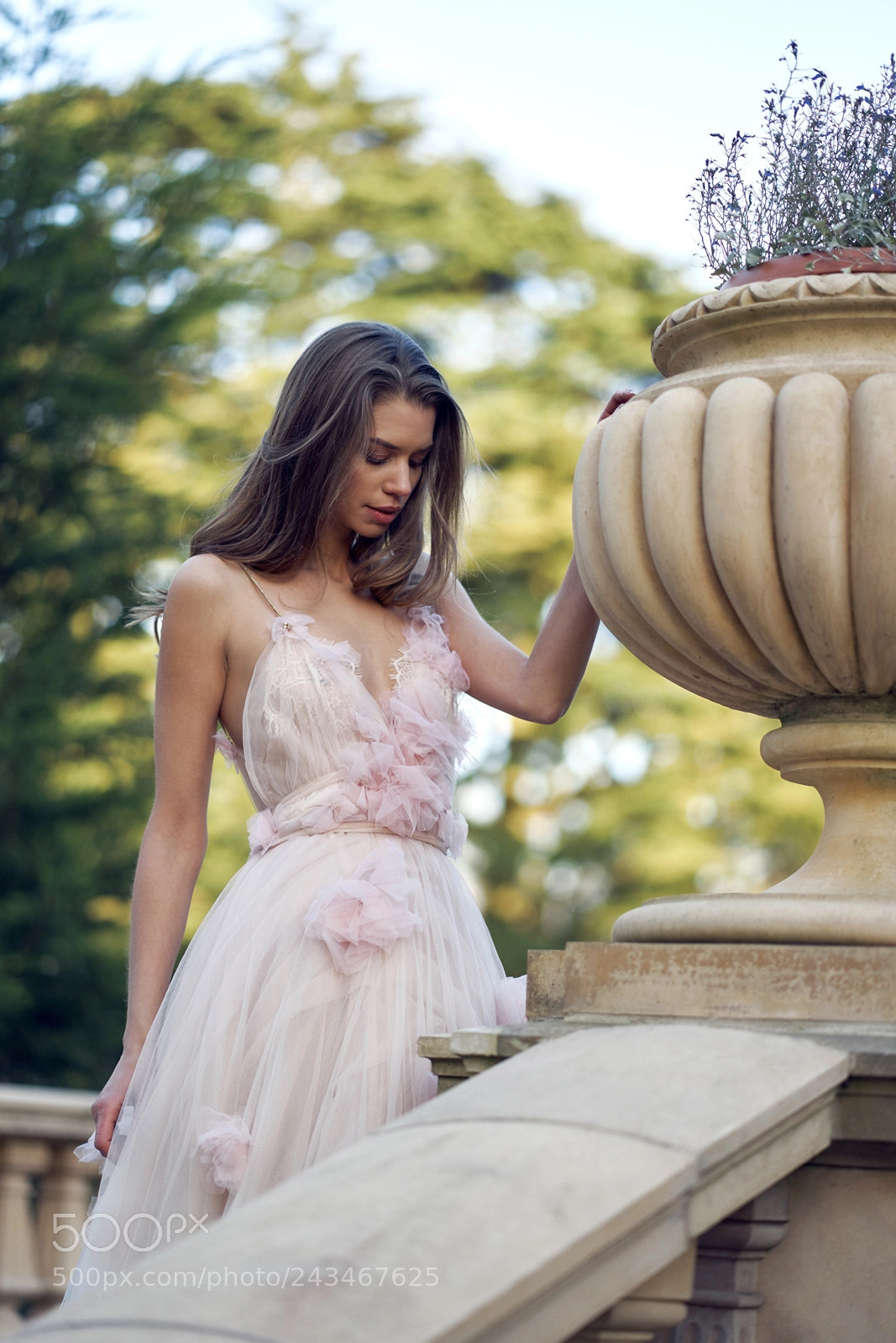 Sony a7 II sample photo. The day photography