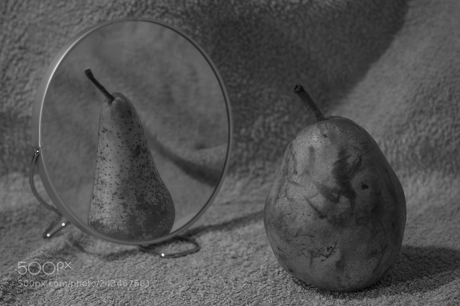 Nikon D7100 sample photo. Old pear photography