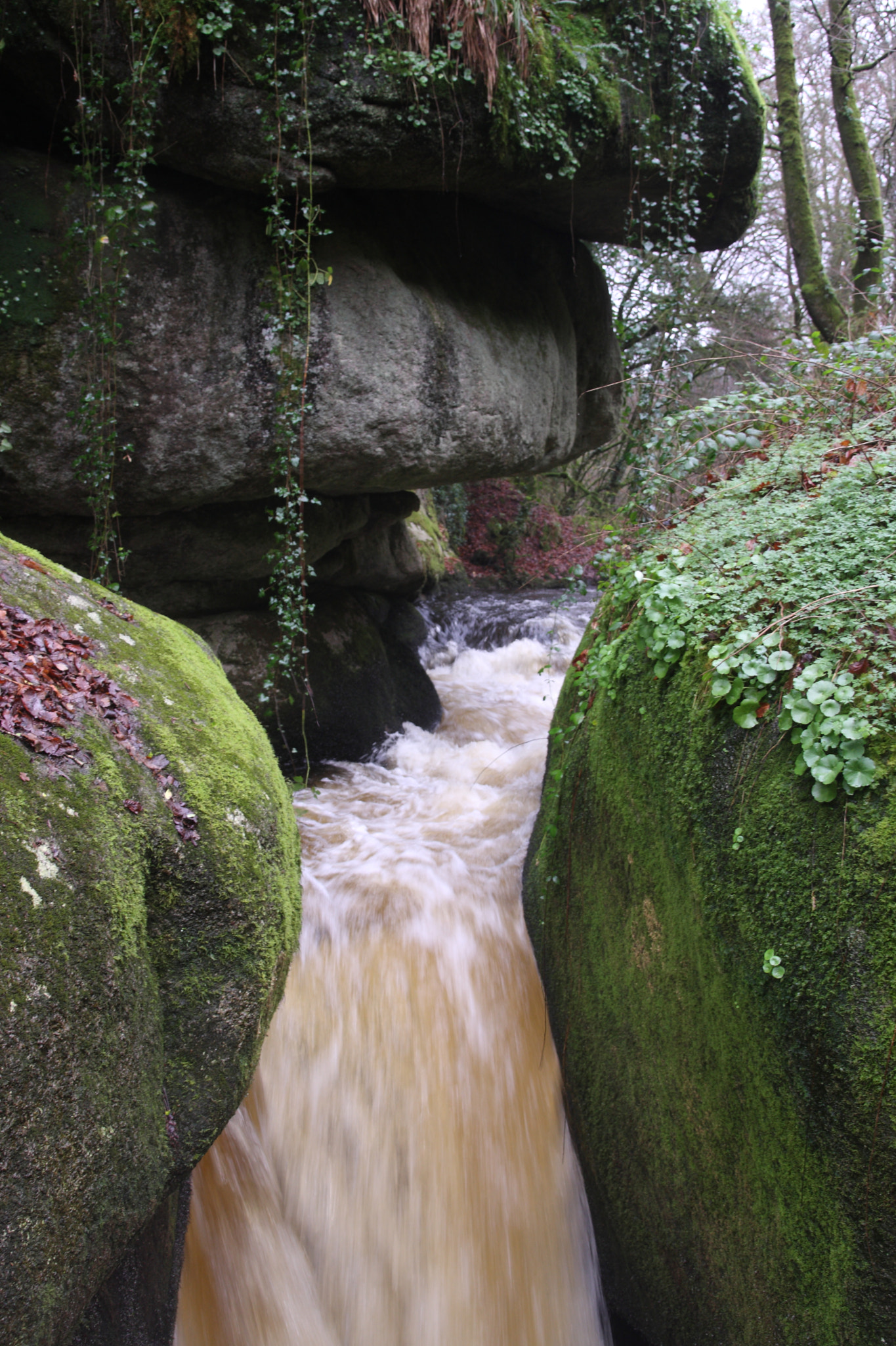 Canon EOS 40D sample photo. Waterfall photography