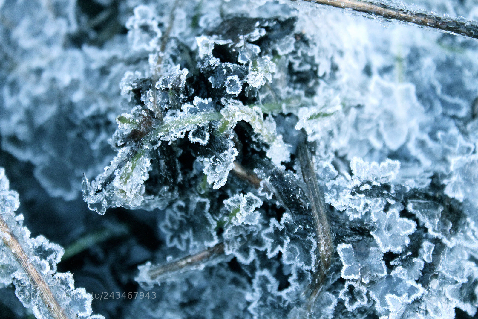 Canon EOS 1100D (EOS Rebel T3 / EOS Kiss X50) sample photo. Icy photography