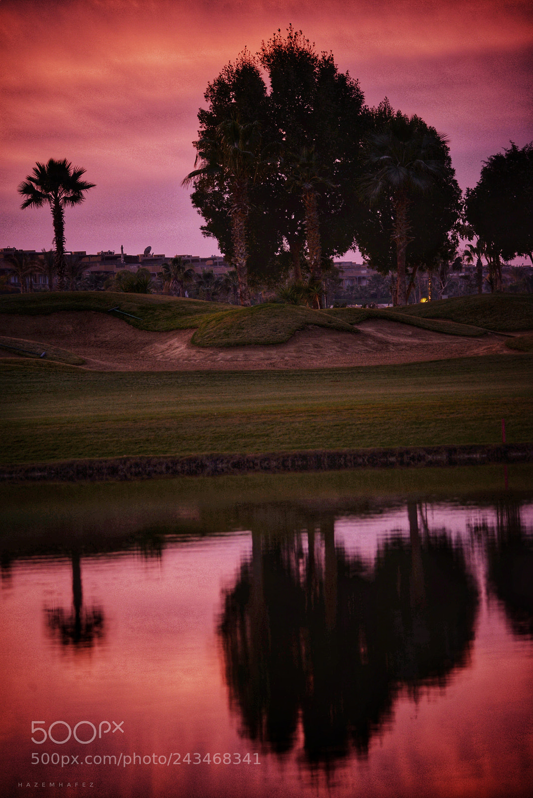 Nikon D610 sample photo. In  the red  .. photography