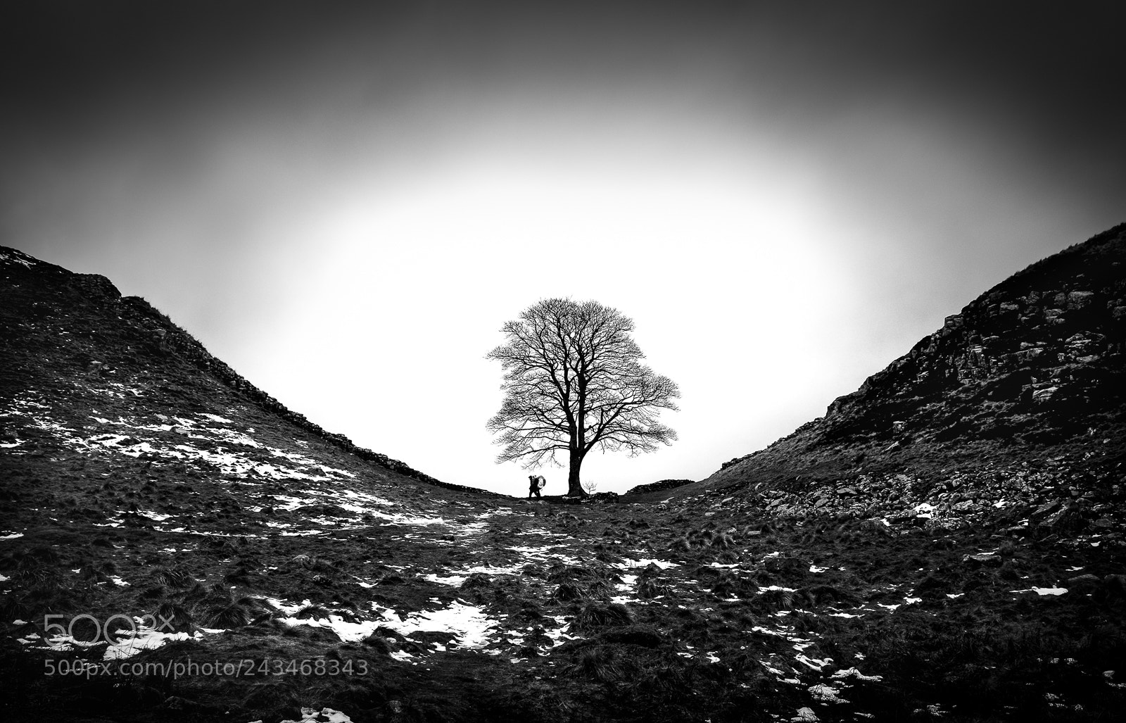 Fujifilm X-T2 sample photo. Sycamore gap photography