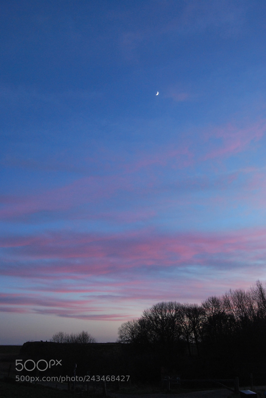 Nikon D60 sample photo. Untitled photography