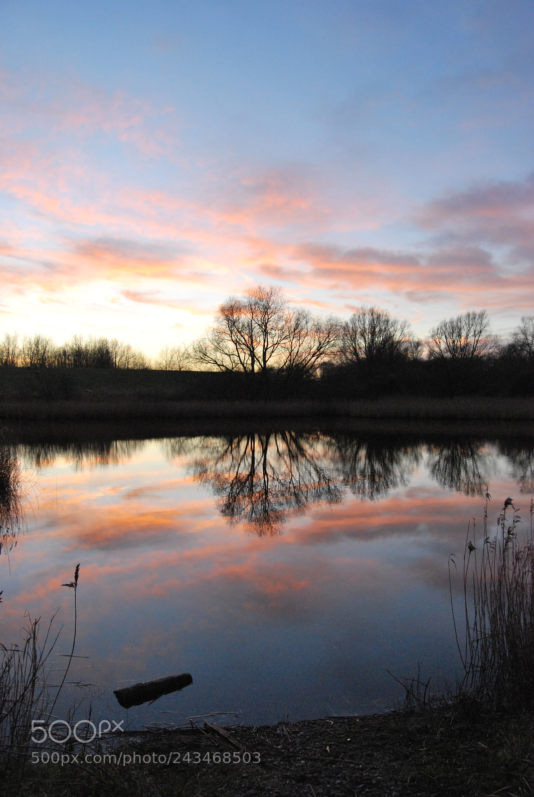 Nikon D60 sample photo. Untitled photography