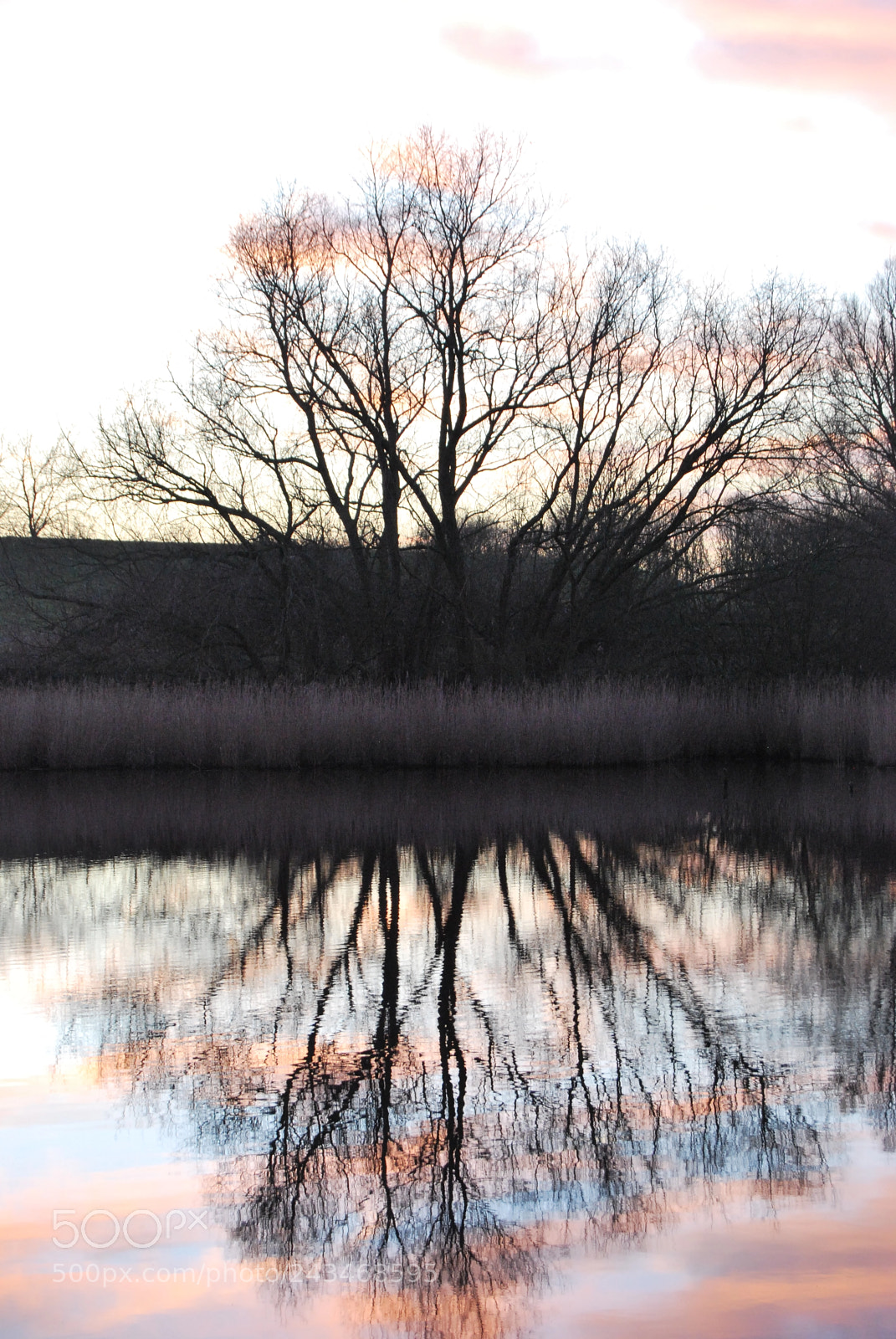 Nikon D60 sample photo. Untitled photography