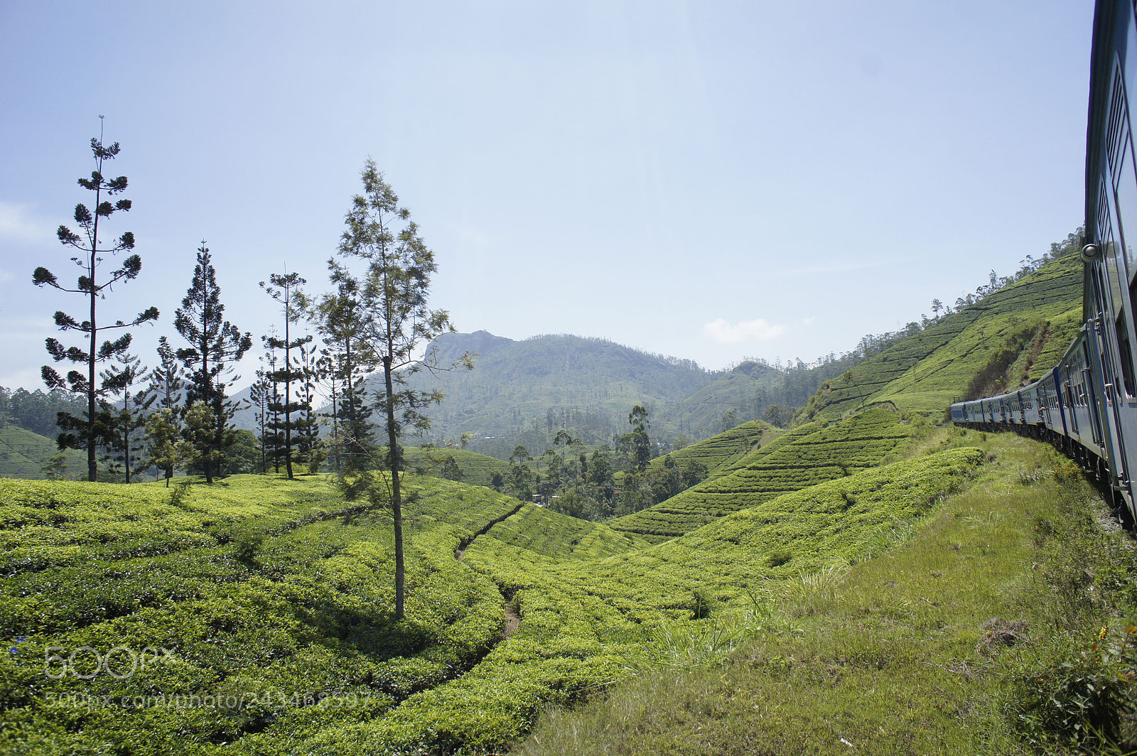 Sony Alpha NEX-5 sample photo. Sri lanka 2014, shoot photography