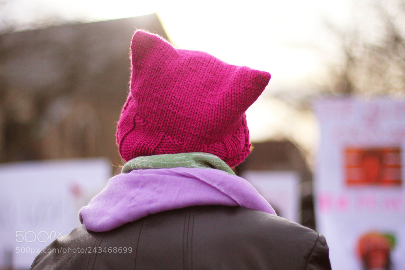 Canon EOS 40D sample photo. Pussy hat - women's photography