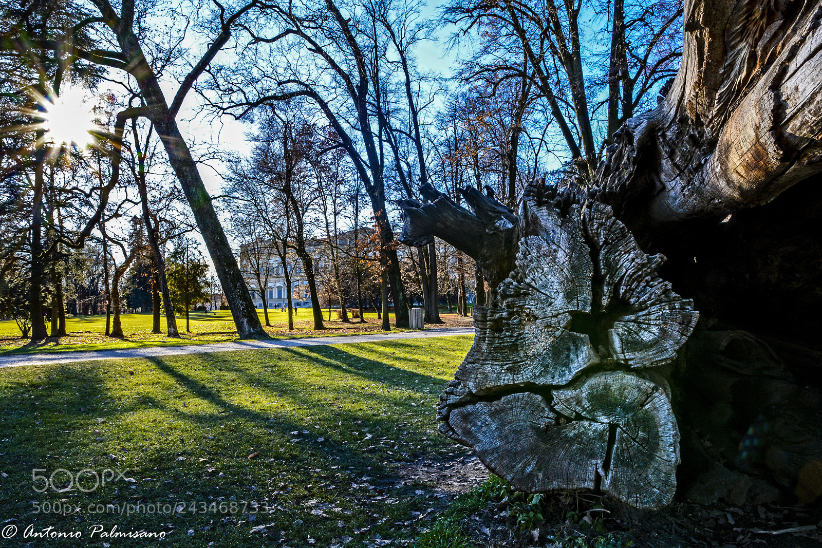 Nikon D7100 sample photo. Untitled photography