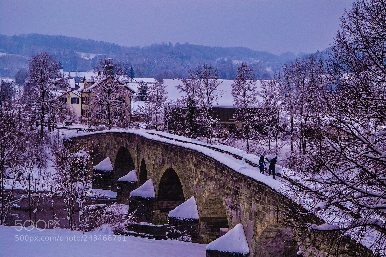 Nikon D3100 sample photo. Winter in suisse photography